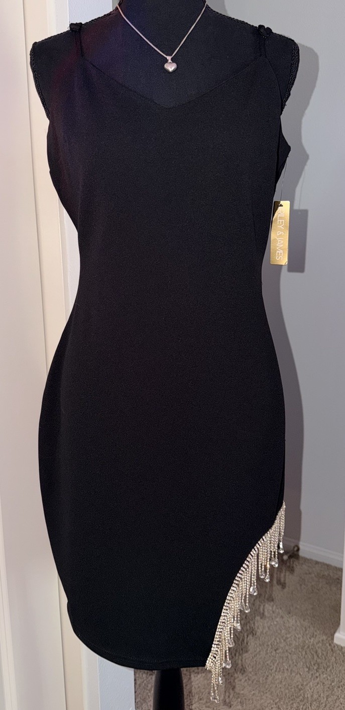 Riley & James Black V-Neck Sheath Dress with Rhinestone Fringe | Size large.