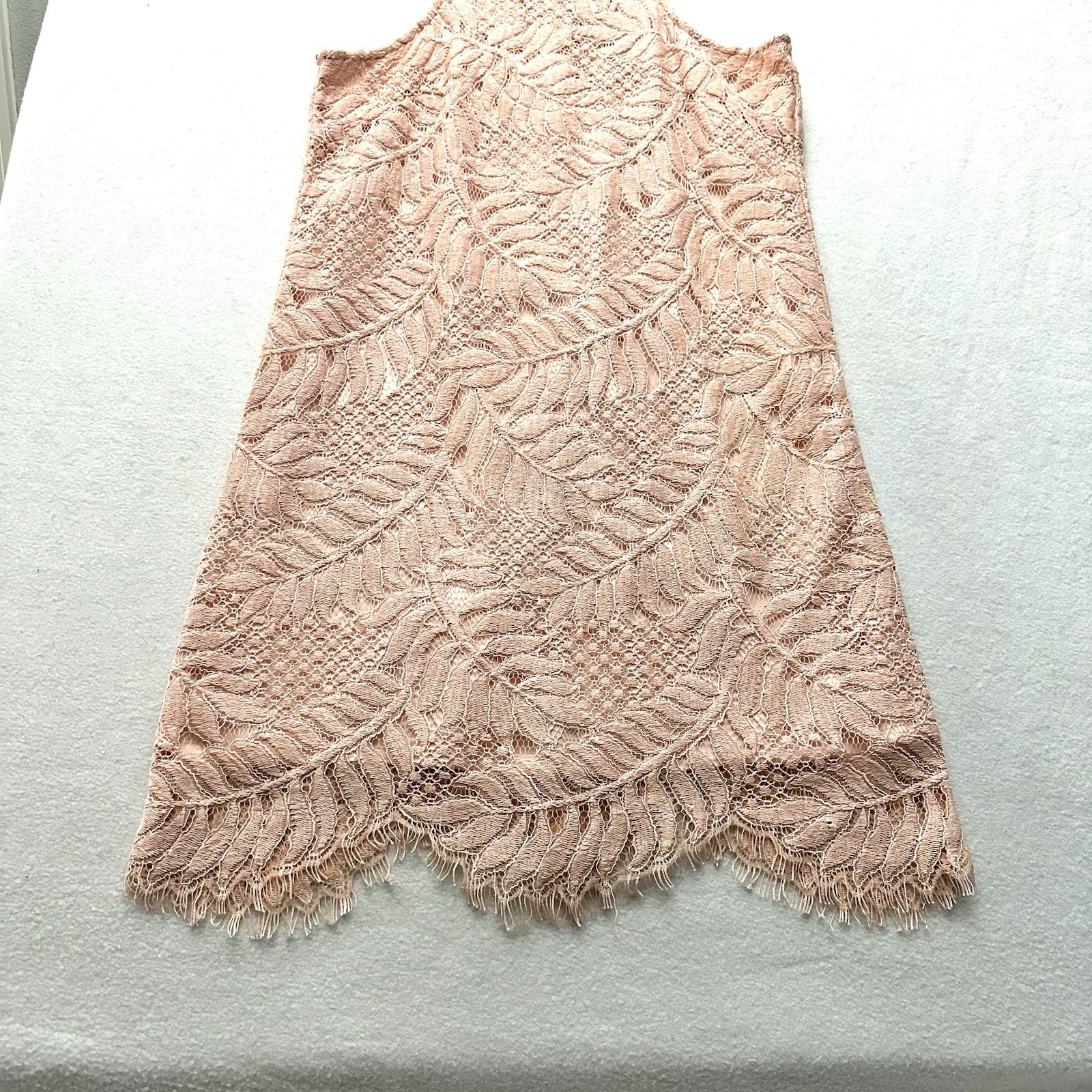 Lovers + Friends Sky Shift S Small Papaya Eyelash Lace Overlay Mini Dress Leaves