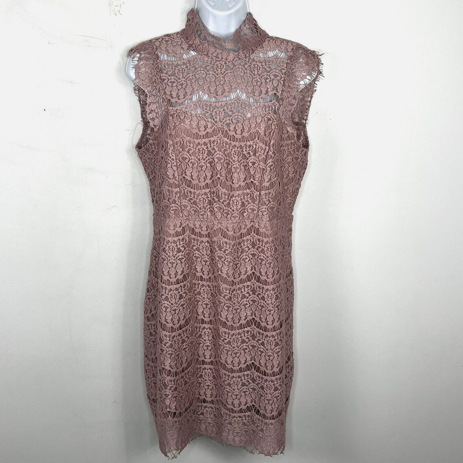 Wishlist Apparel Blush Lace Dress Sz M Sleeveless High Neck Elegant Romantic