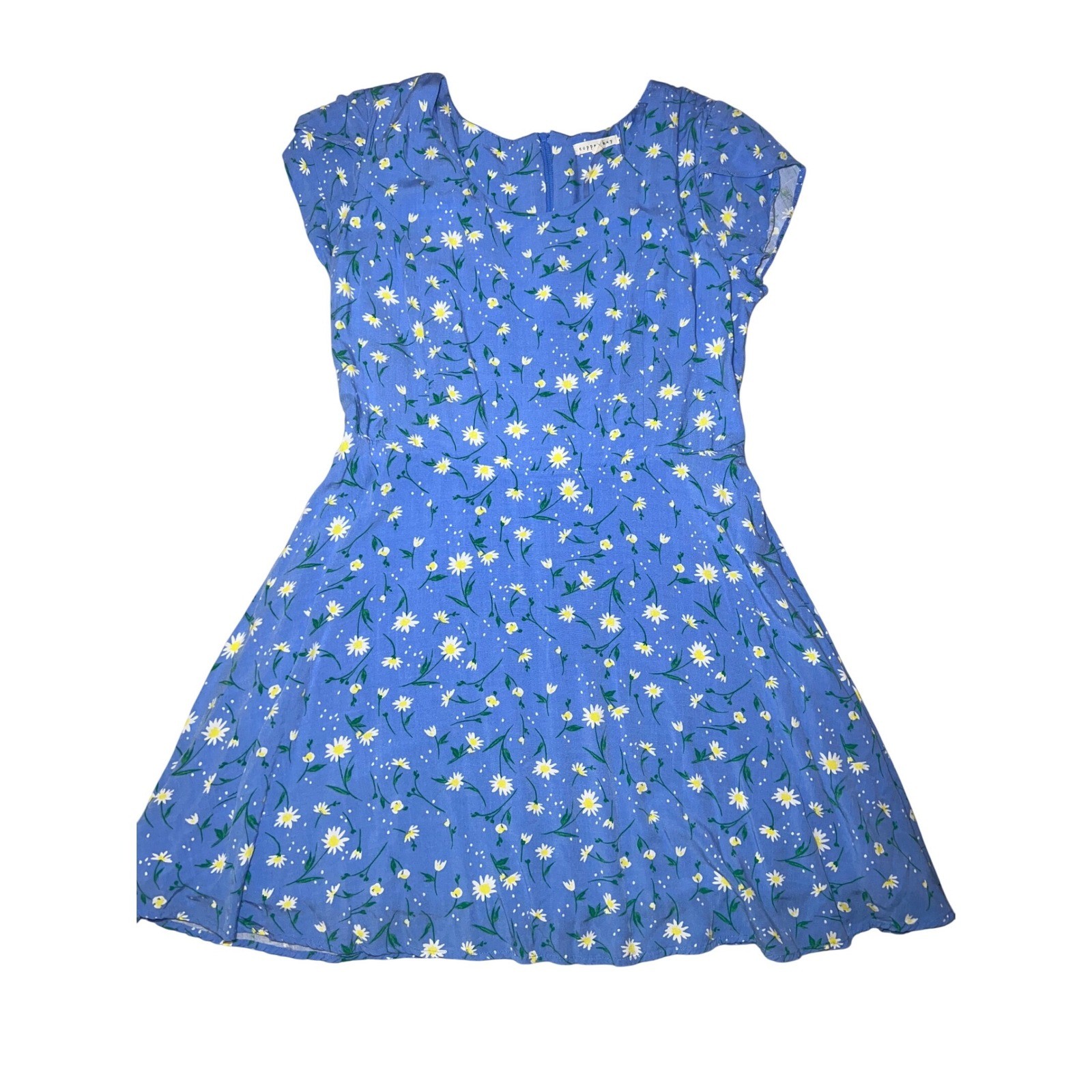 Copper Key Blue Daisy Floral Fit & Flare Mini Dress Womens Large Cottagecore