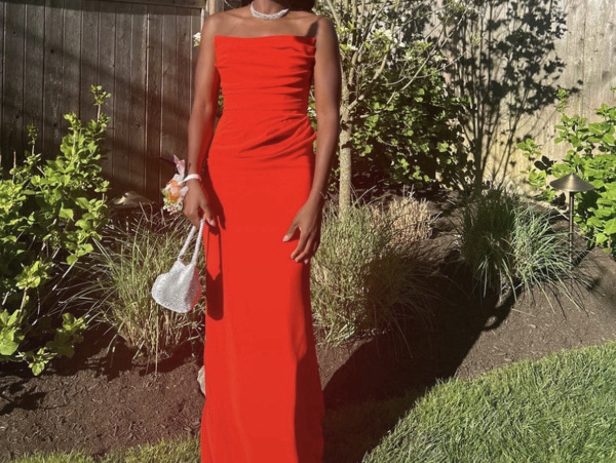 Castle Coutre Red Strapless Ruched Ball Gown Long Dress, Women’s Size 6