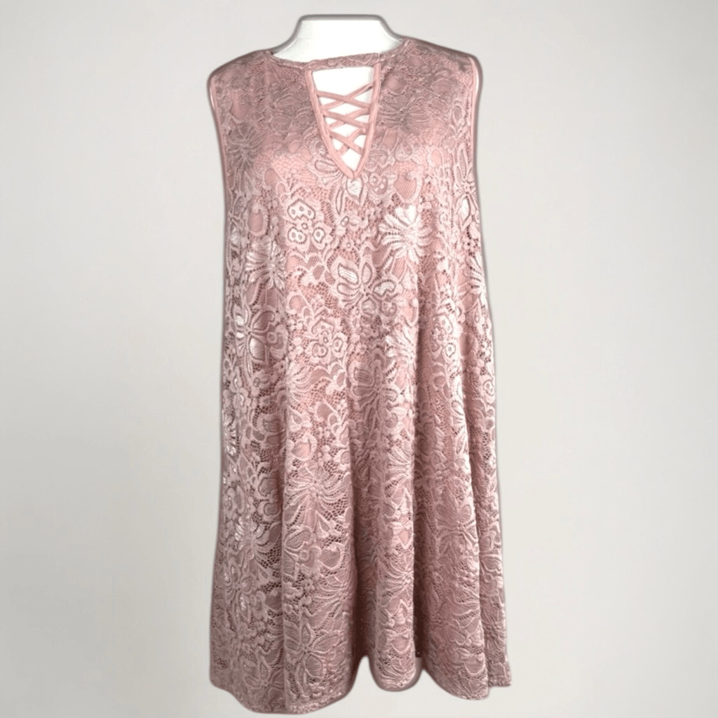 Bridgerton Princesscore Lace Dress 3XL Liberty Love Blush Pink Swing Soft Girl