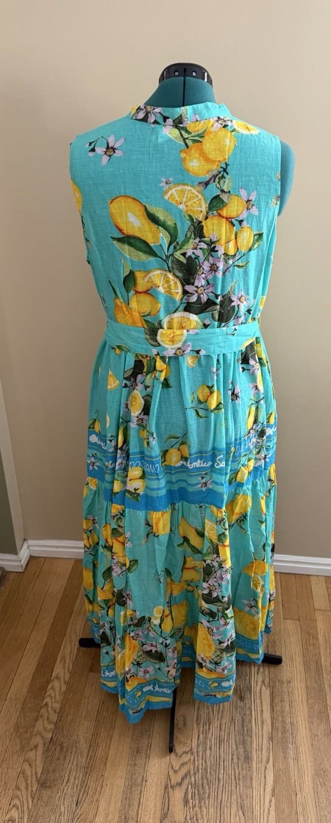 Antica Sartoria Positano 2026 Aqua Lemon Print Sleeveless Maxi Dress L/XL NWT