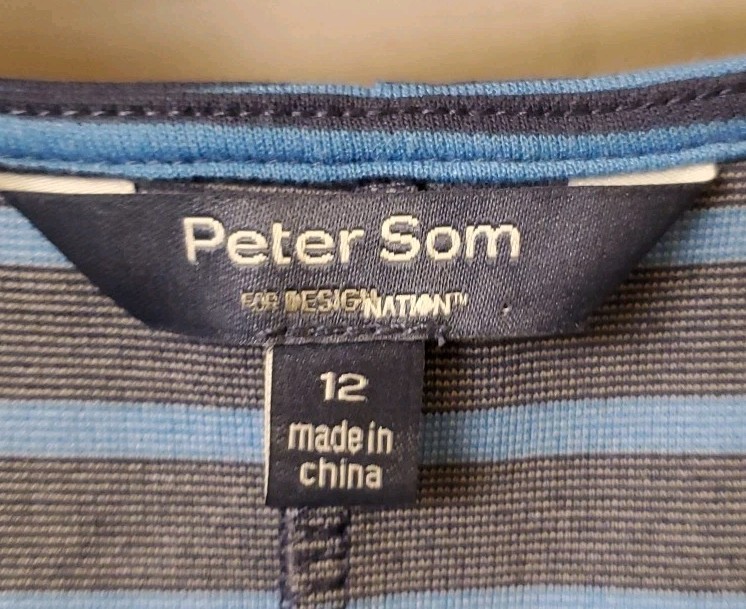 PETER SOM for DesigNation Blue Striped V Neck Sleeveless Dress