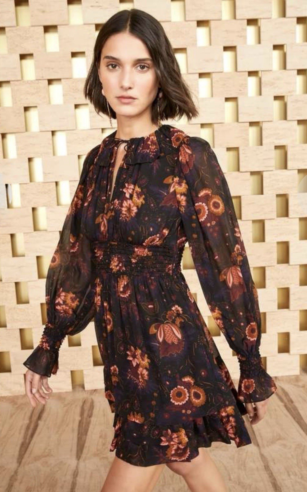 Ulla Johnson Adara Ruffled Silk Chiffon Floral Mini Dress Valerian Size 2
