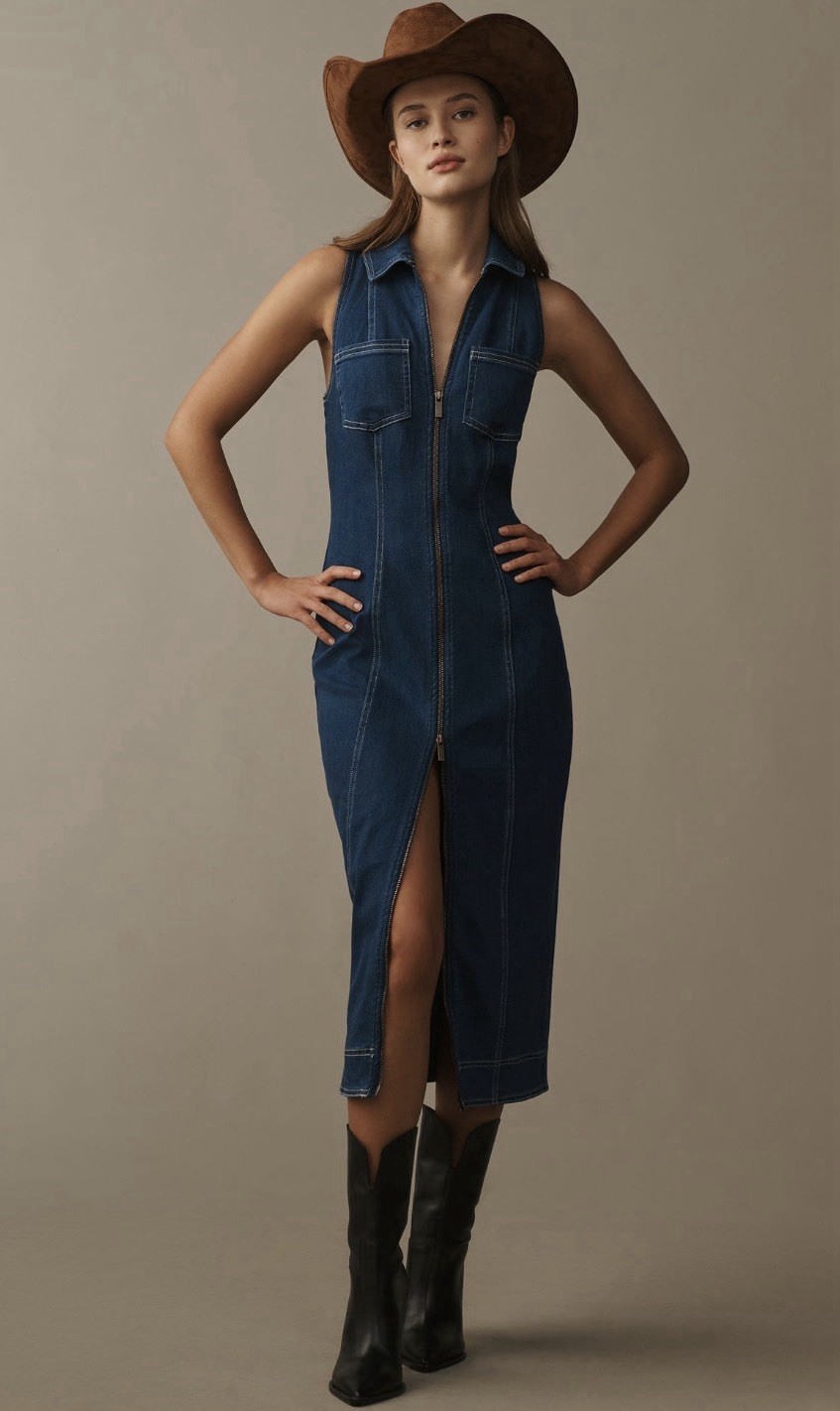 Anthropologie Pilcro Midi Denim Dress Blue Fitted Retro Preppy Vacay Medium NWT