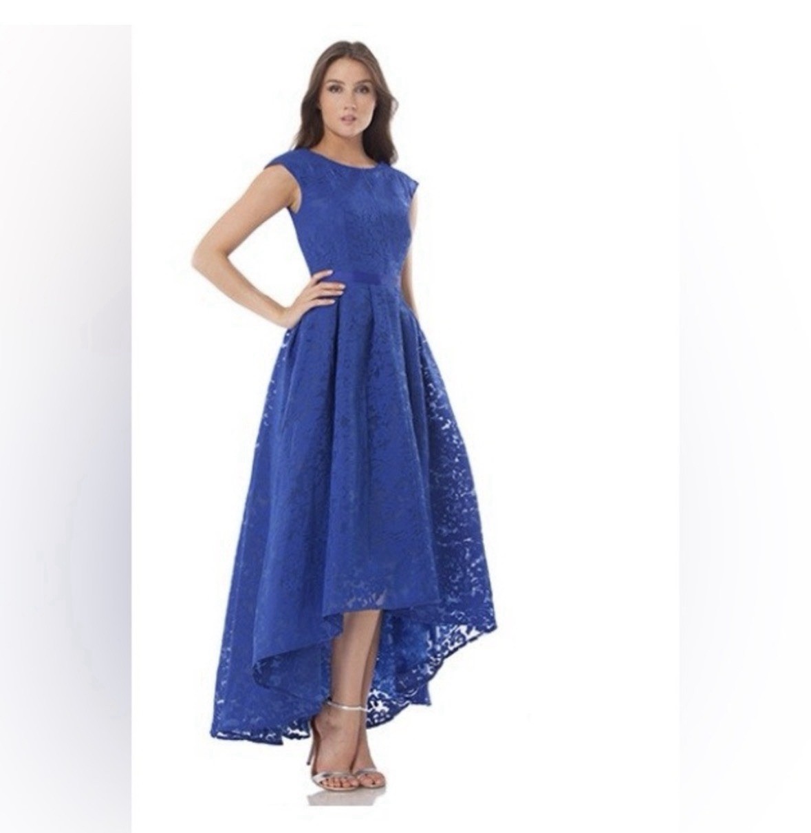 Blue Lace Hi-Low A-Line Dress Floral Boat Neck Backless Sleeveless Formal