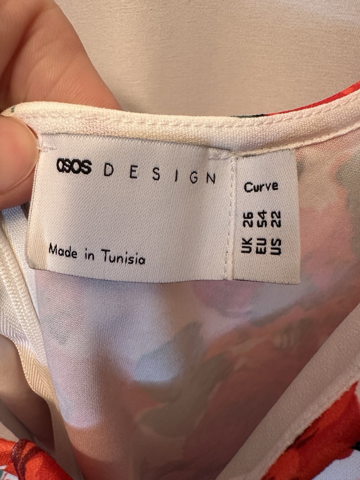 NWT ASOS Design Curve Size 22 Floral Lace Sheath Dress Pink Red Green White