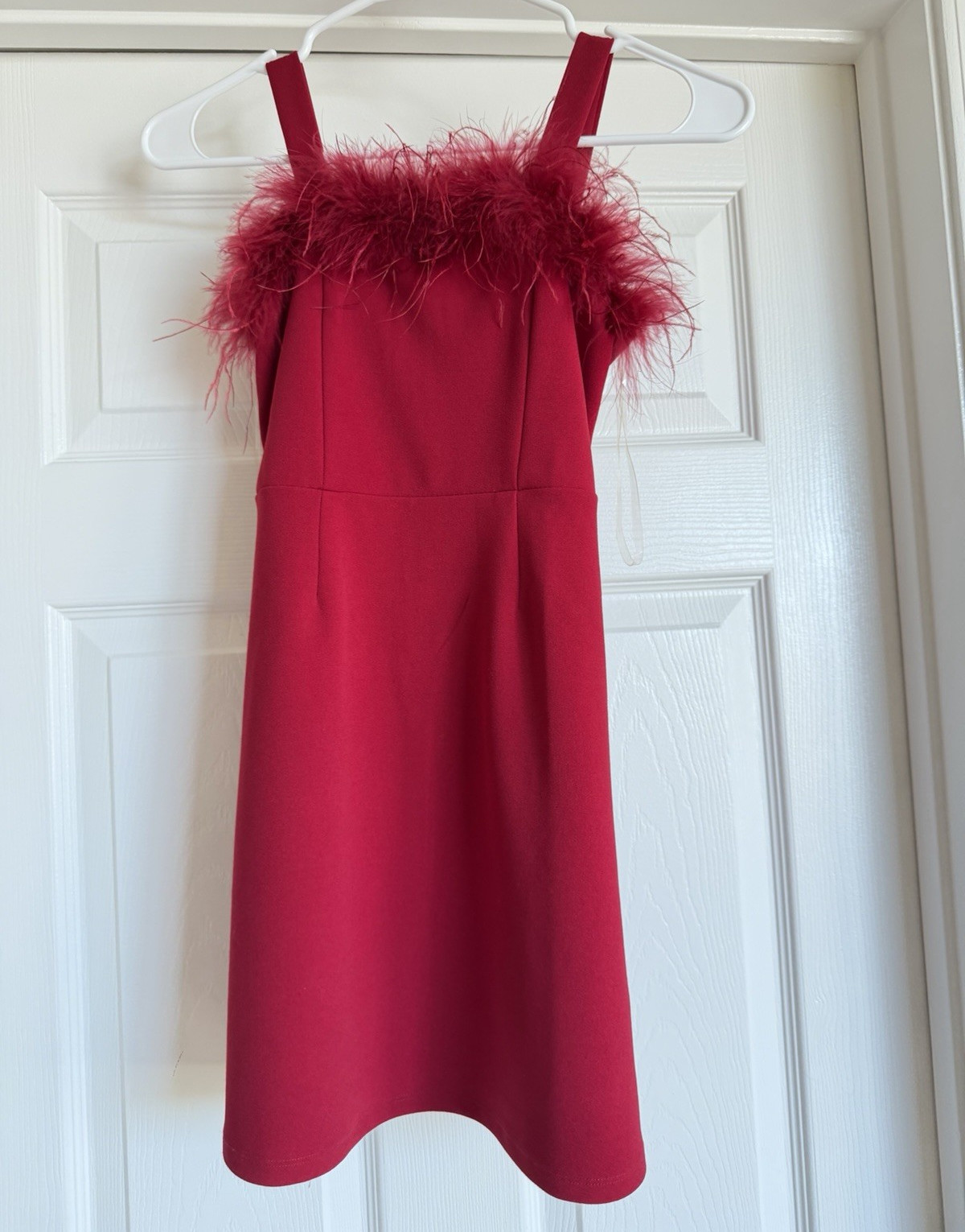 Speechless Teens A-Line Dress 8 Red Solid Sleeveless Feather Accent Zip