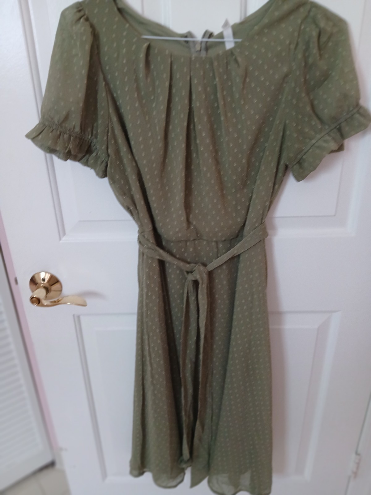 NY Collection Petite Swiss Dot Dress Olive Short Sleeve Size PL