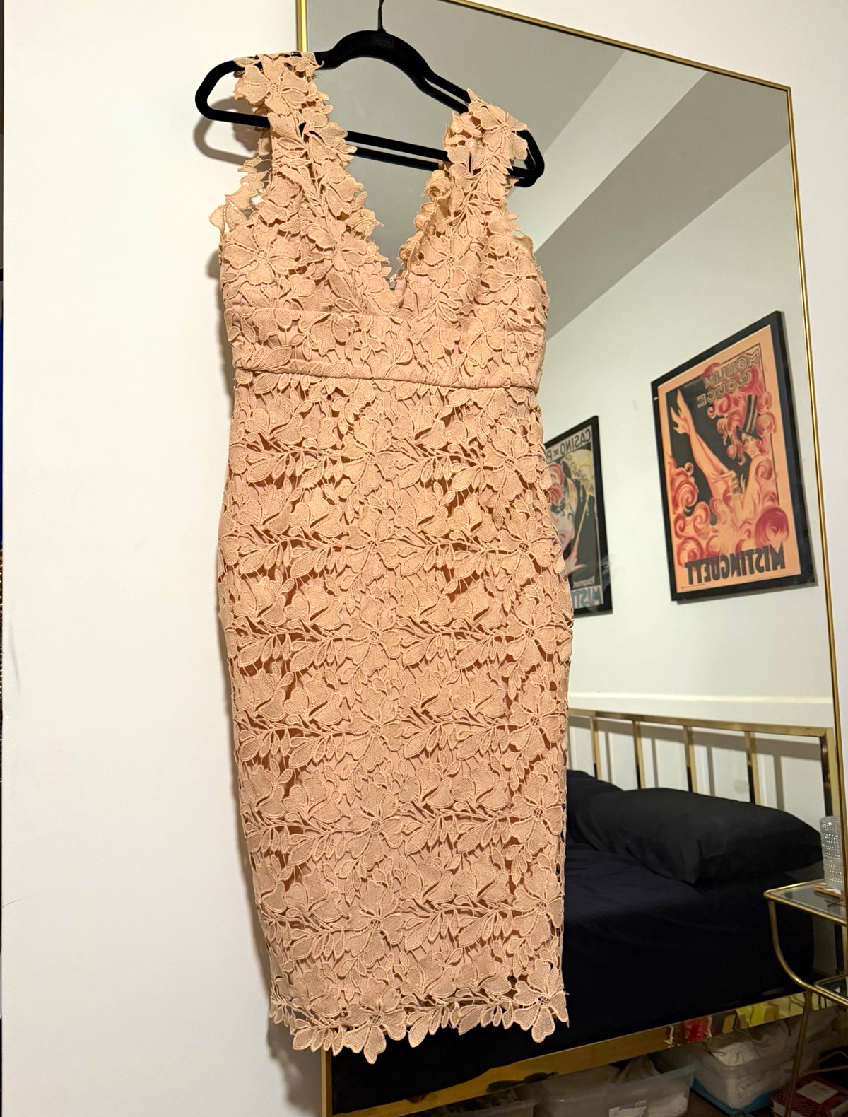 Bardot Blush Pink Floral Lace Sheath Dress Sz 8 Sleeveless V-Neck Lined Zip