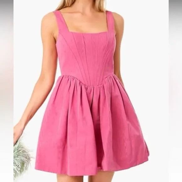Kourt Pink Denim Corset Pleated Lele Babydoll Fit Flare Mini Dress Size Med NWT