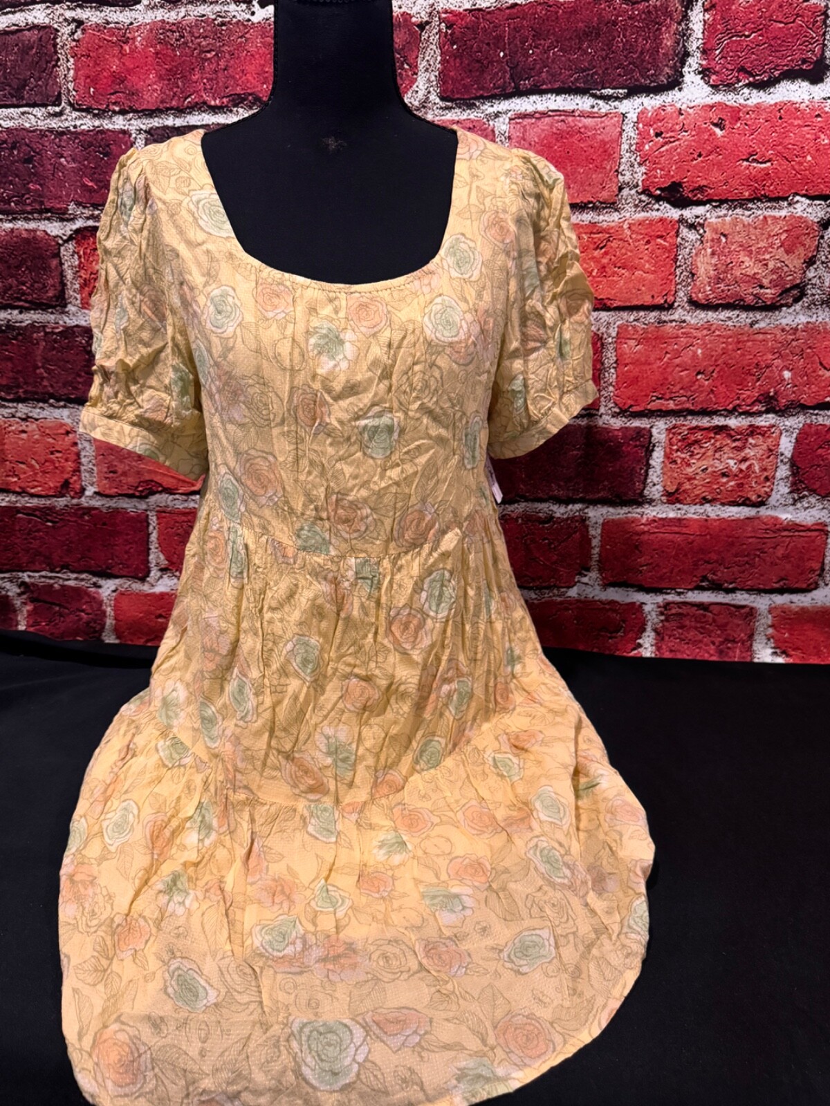 2022 Disney Parks Cinderella Floral Roses Dress For Women Size Large NWT n4