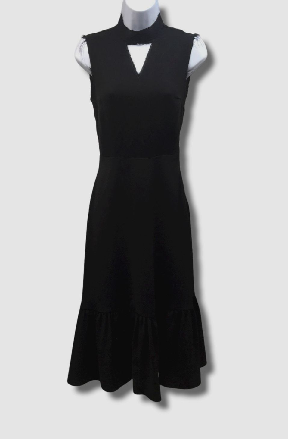 $815 Rejina Pyo Women’s Black Sleeveless Ruffle Hem Dress Size 6
