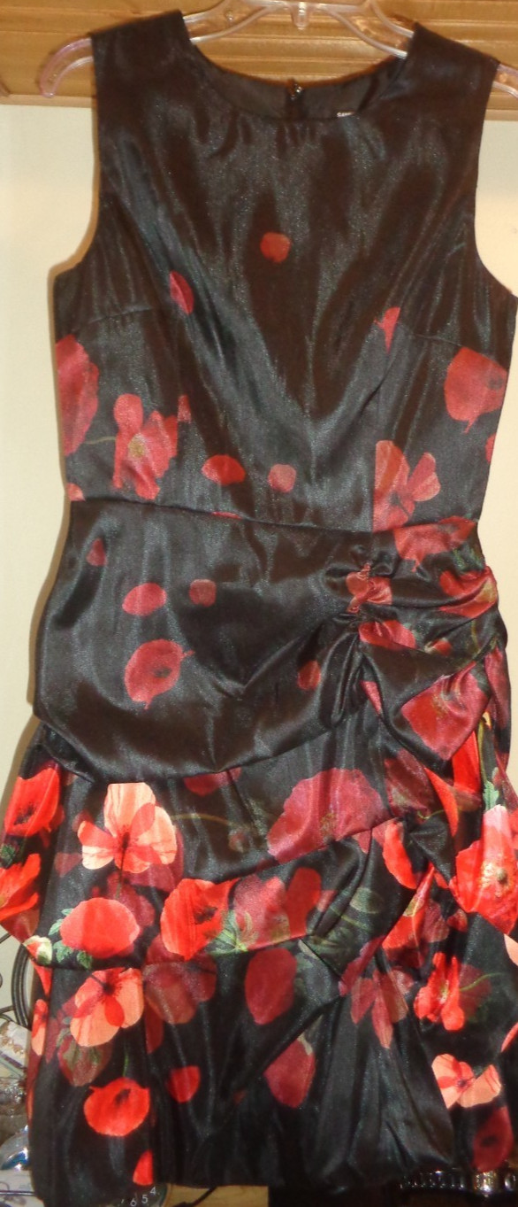 SAMUEL DONG BLACK DUPIONI TAFETTA BUBBLE HEM DRESS NWT SZ XS