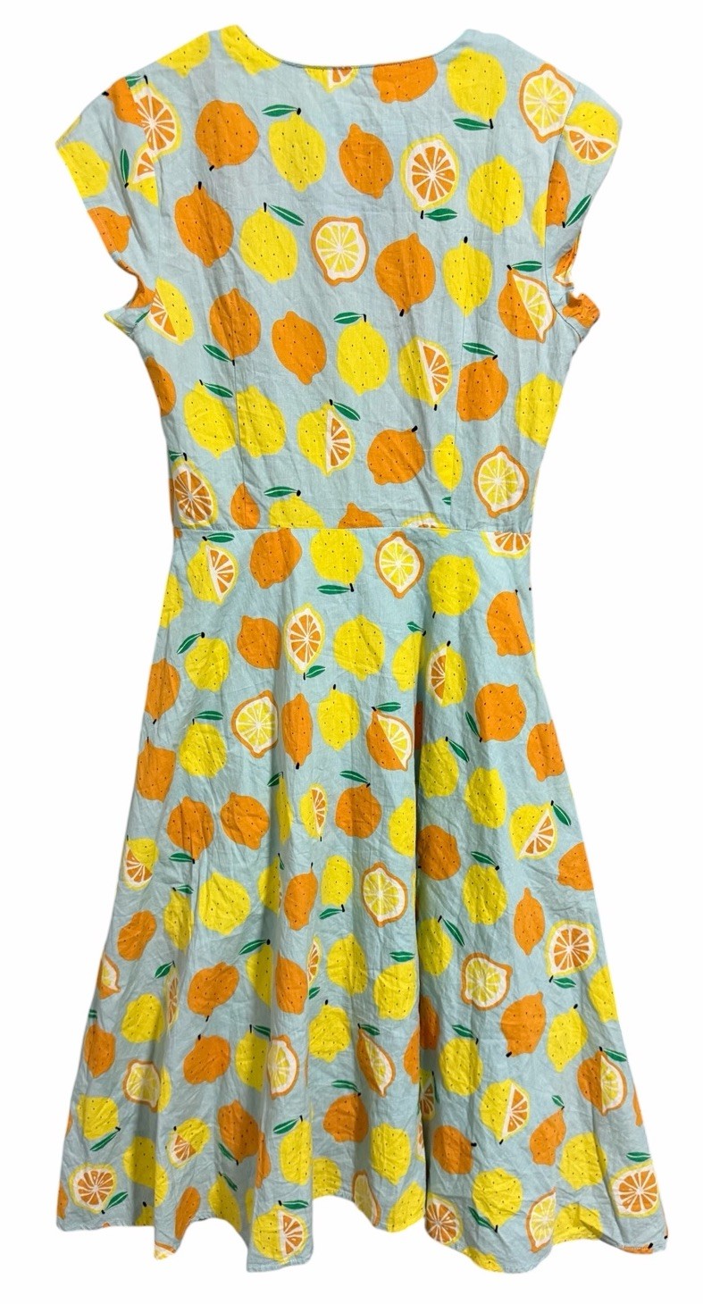 Teeberry & Weave Novelty Fruit Eclectic Art Flare Retro Dress Women’s Size Small