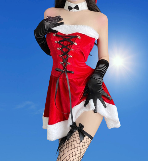 Women’s Christmas Nightdress Sexy Role Play Game Cosplay Lingerie USA