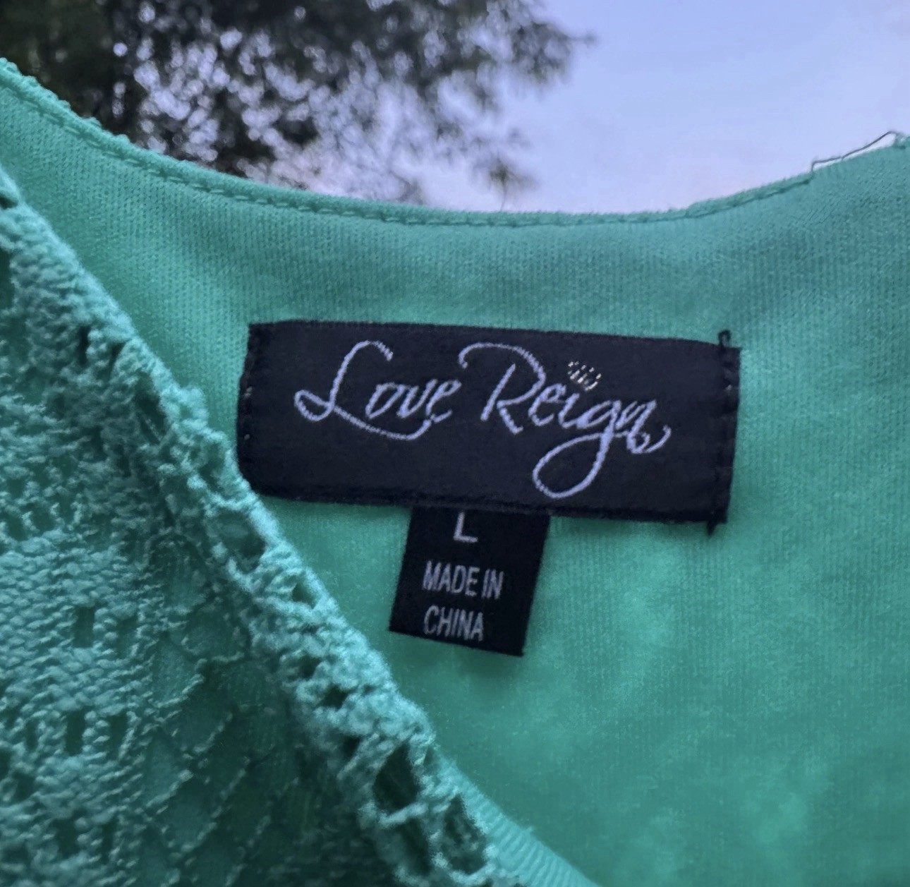 Love Reign Mint Green Lace Sleeveless Fit & Flare Dress Women’s Large Boho