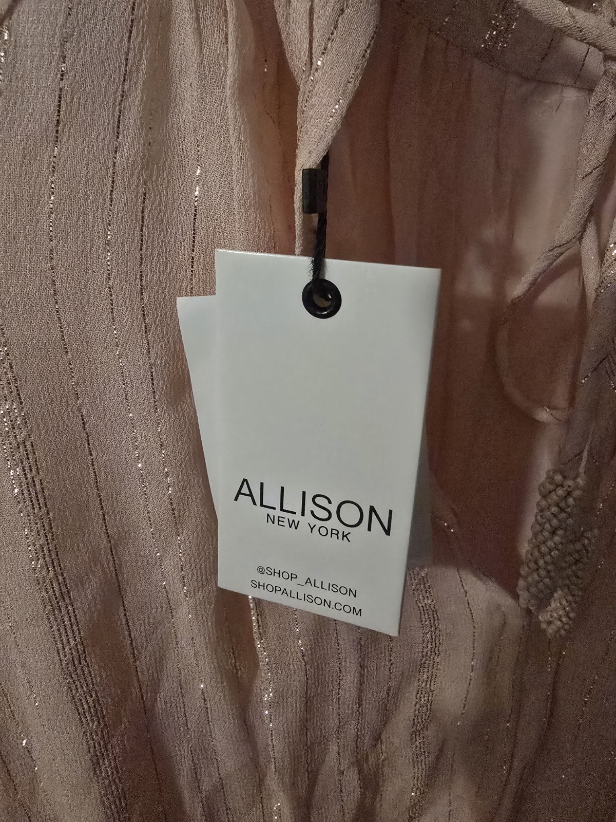 Allison New York Pixie Mini Dress Blush Pink Size Small Chiffon Ruffled Smocked