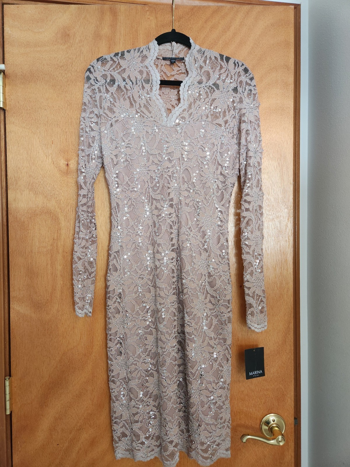 Marina Taupe Sheer Lace Overlay Sz 6