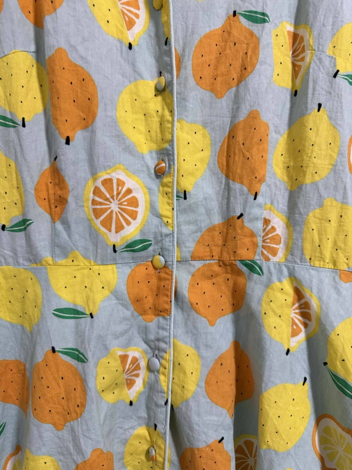 Teeberry & Weave Novelty Fruit Eclectic Art Flare Retro Dress Women’s Size Small