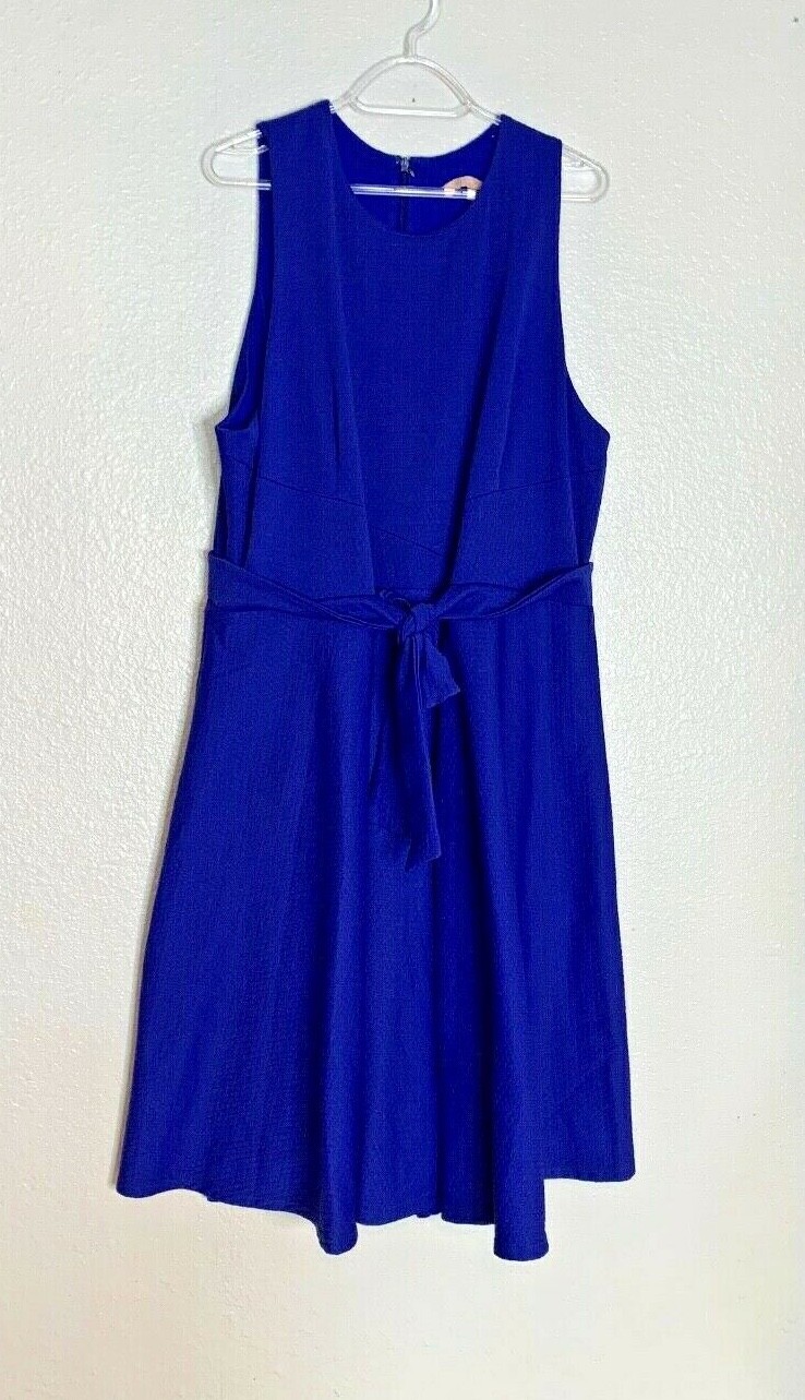 Hutch Womens Sz 2X Blue Dress Sleeveless Zip Back Below Knee Length Lined