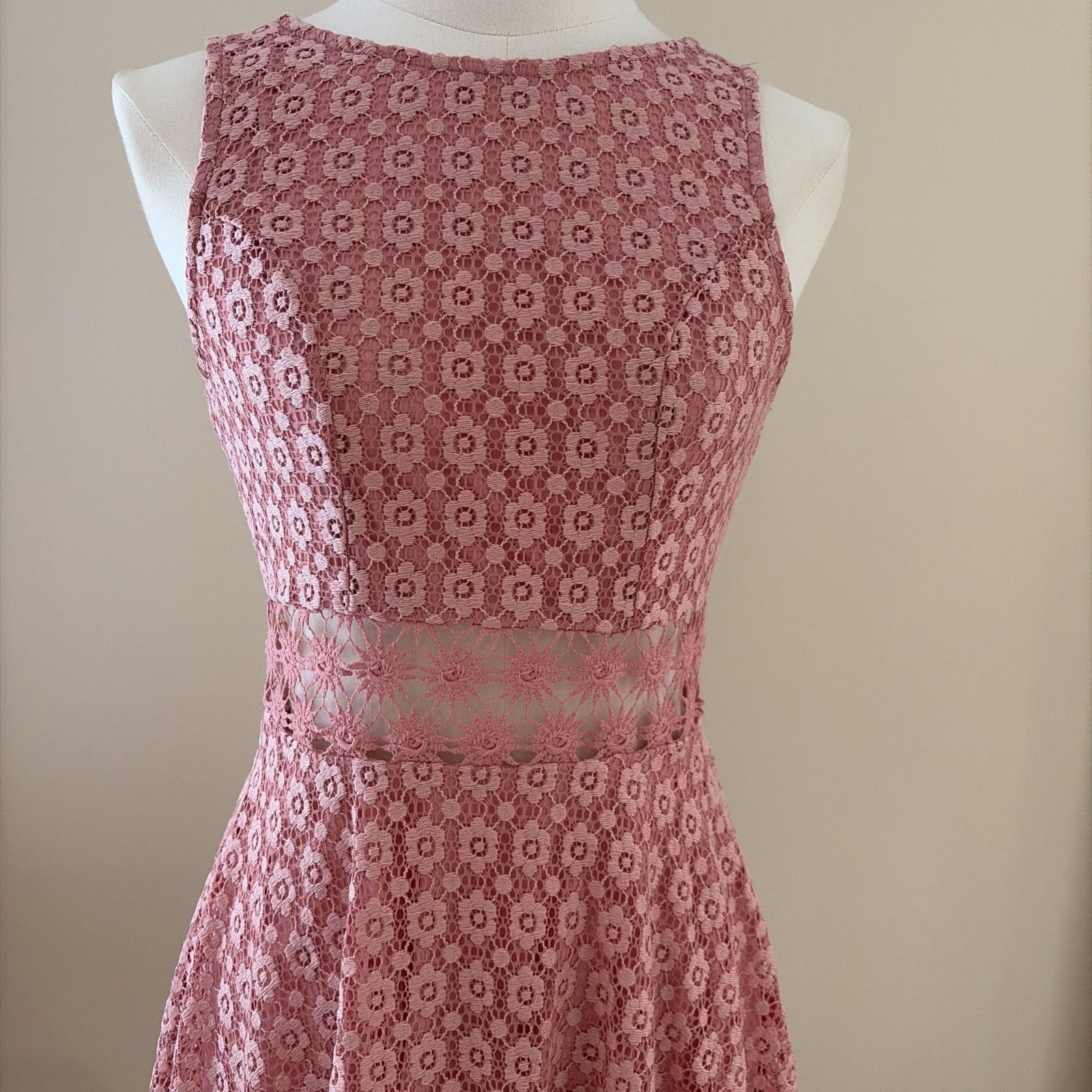 Iris Lace Fit & Flare Skater Mini Dress Size S Pink Sheer Floral Feminine Fairy