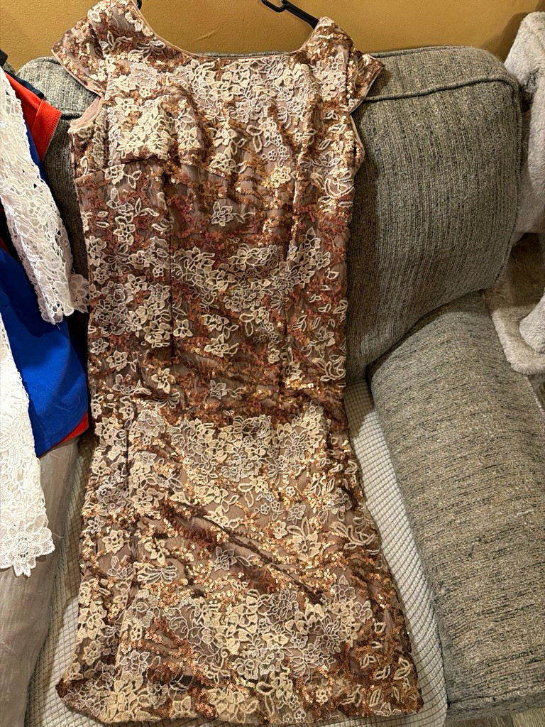 Alex Evenings Size 12 Taupe/Cream Floral Lace Overlay V-Neck Cap Sheath