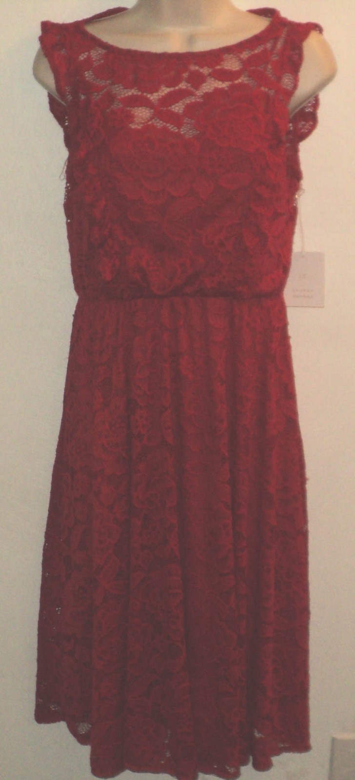 New Lauren Conrad Size XS Lace Dress Red “Bee Mine” Sleeveless Below Knee Length