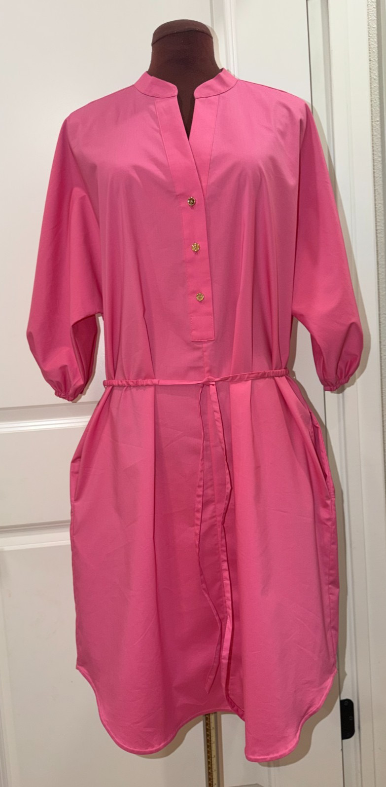 NWT New W Tag HINSON WU Alicia Elbow Sleeve Dress women XL Guava Polished Cotton