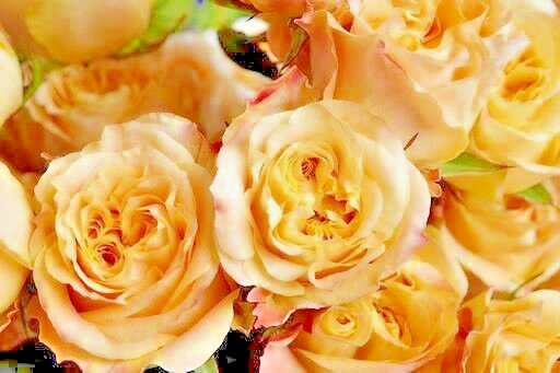 SNAP Blue Purple ONE SHOULDER MINI DRESS CLUB/PARTY/PROM/HOLIDAY Taffeta JR SZ L