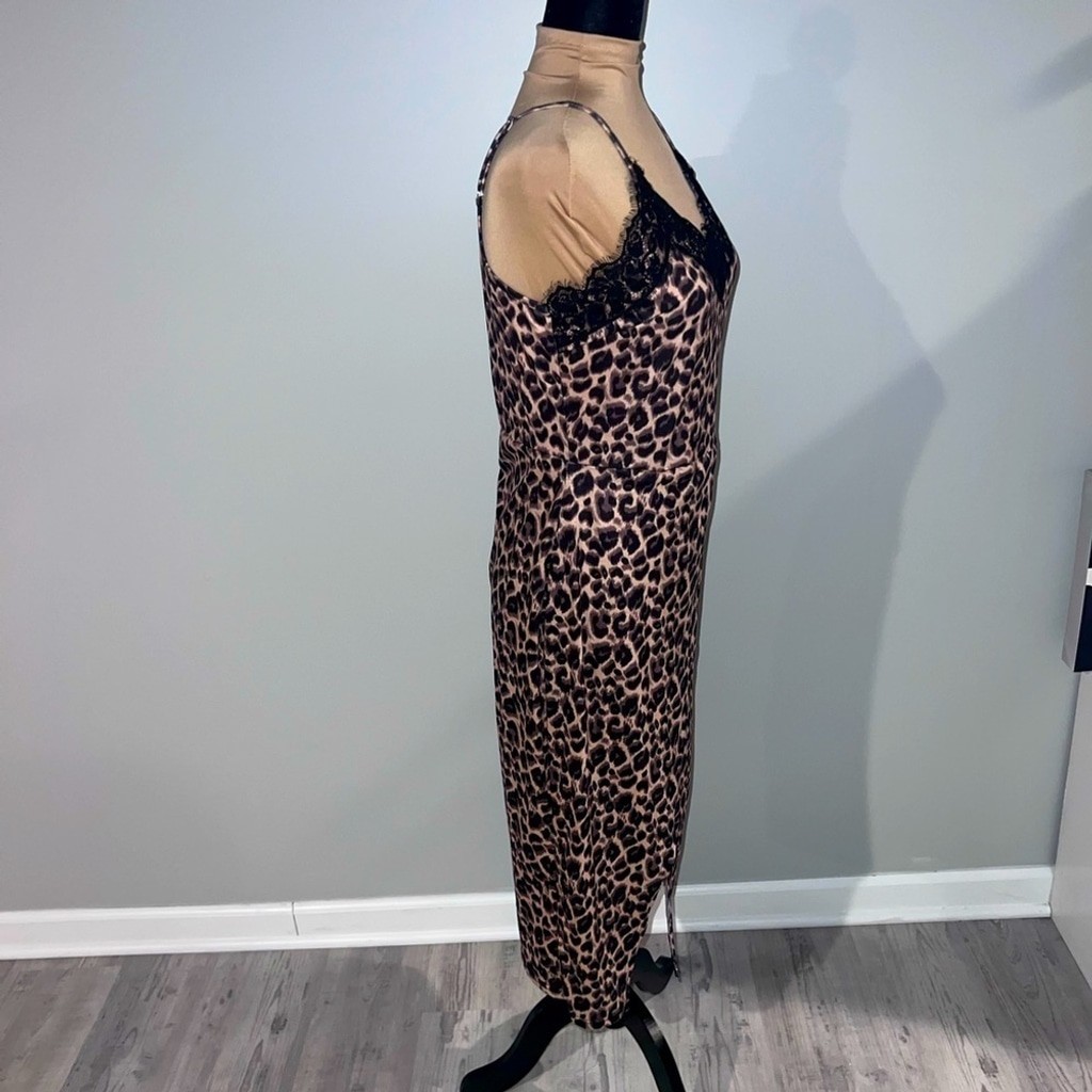 Leopard and Lace Dress