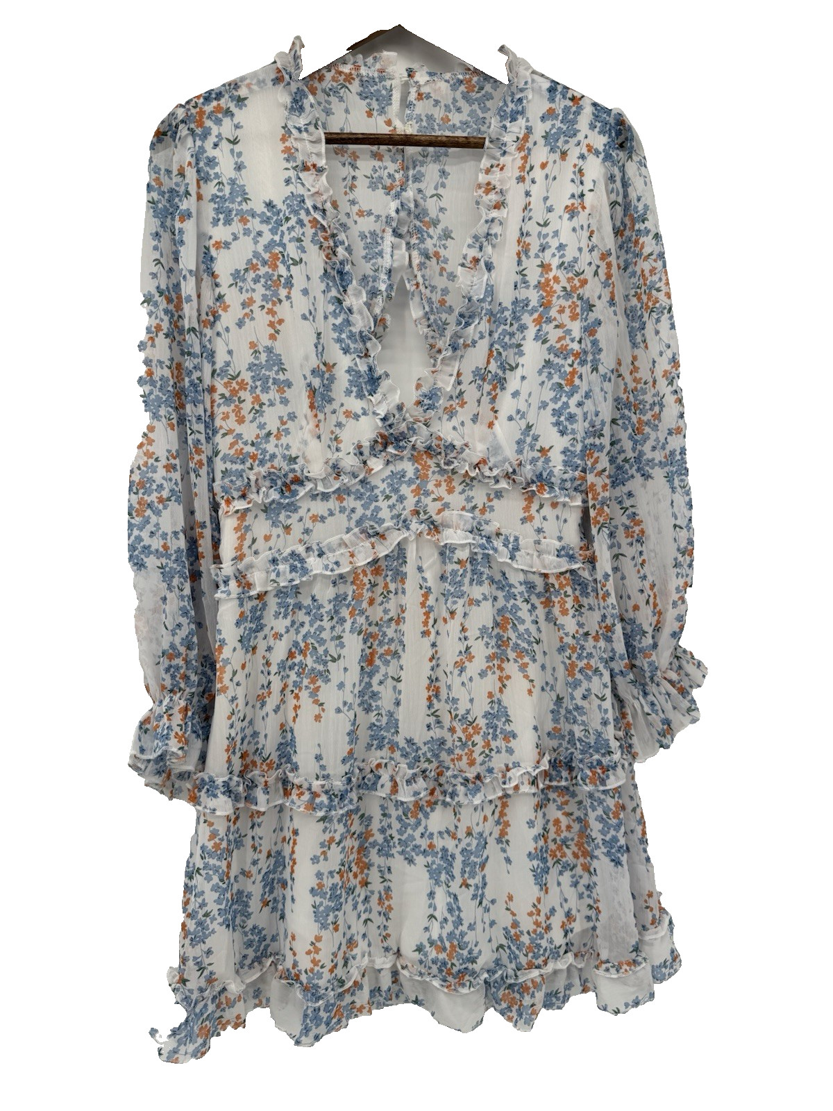 M Cottagecore dainty floral spring sheer long sleeve babydoll V-neck tiered mini