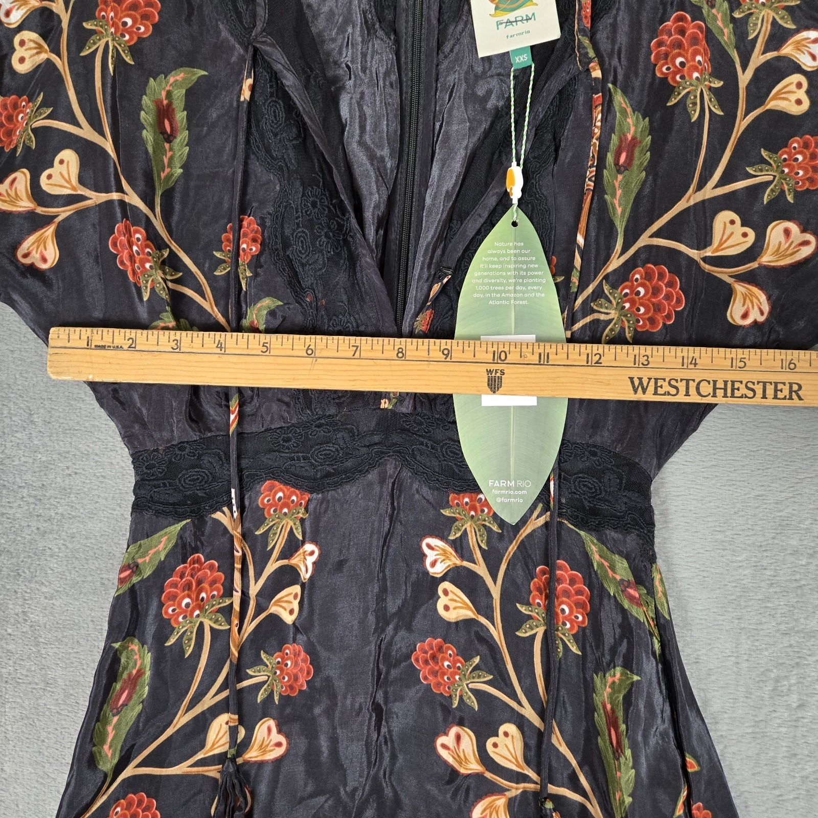 Farm Rio Black Berry Garden Mini Womens 2XS Dress Black Embroidered ⭐️Brand New