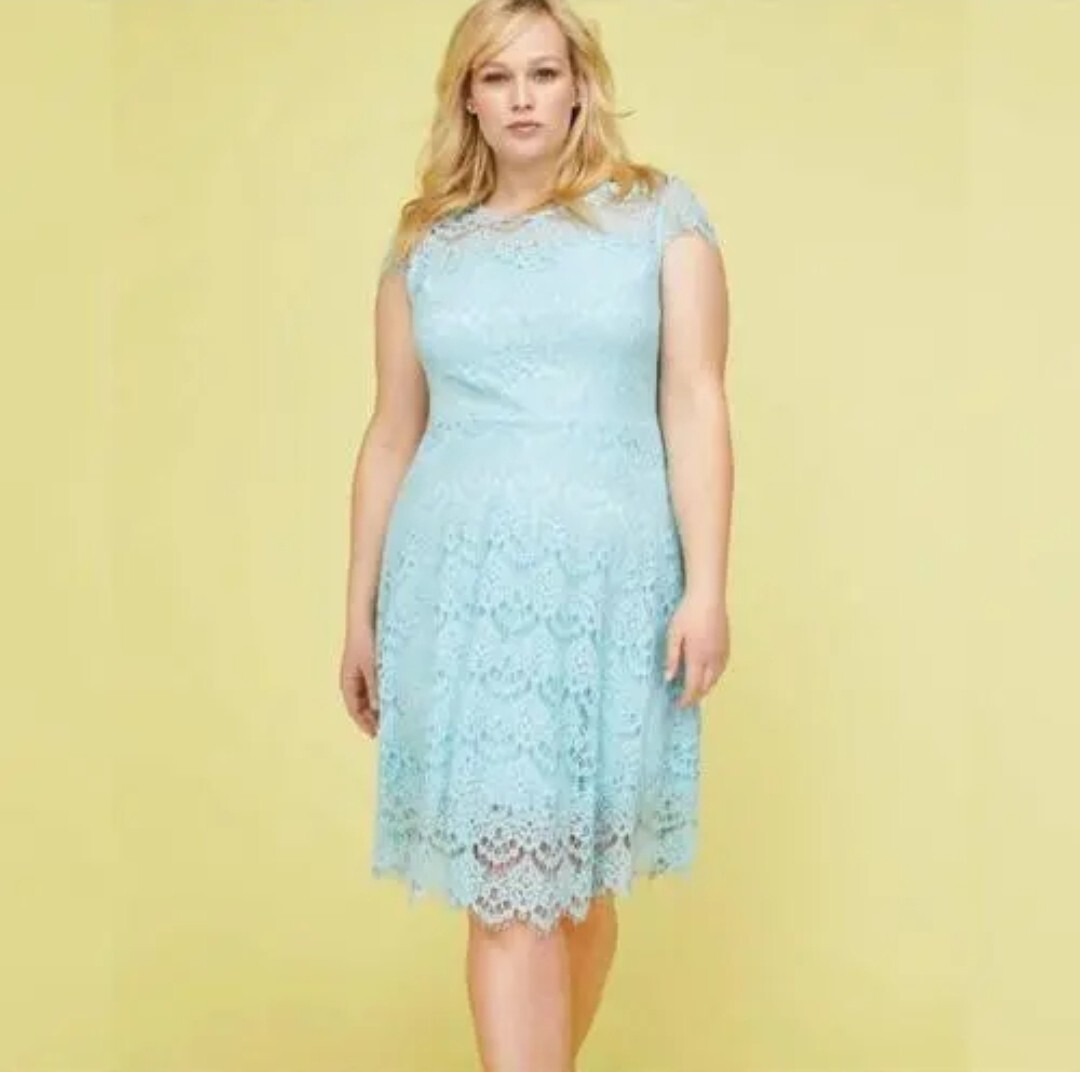 Lane Bryant 22 3x Blue Lace Fit & Flare Dress w/ Back Cut Out NWT