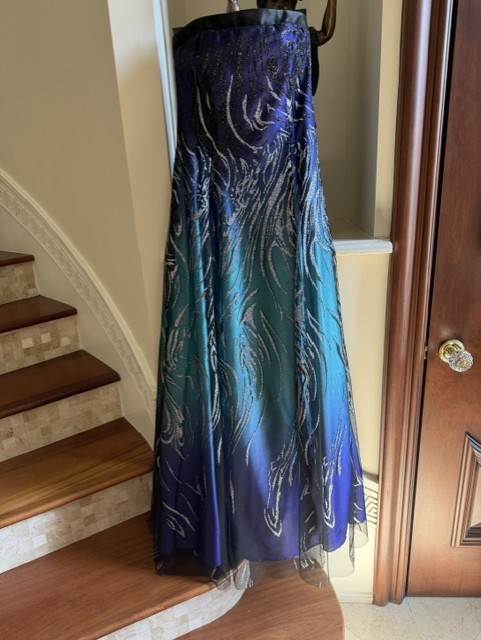 Prom, wedding, sparkle, long, never worn.