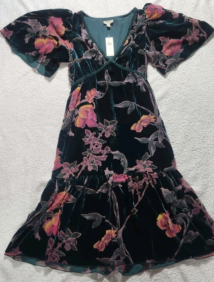 NWT Anthropologie X Pilcro Green Velvet See Through Motif Lined Dress Size XS