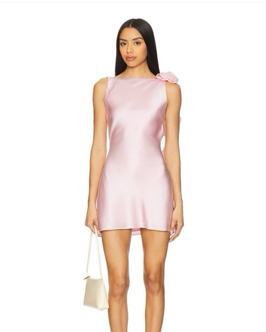 Lovers + Friends Mariam Light Pink Open Back Rosette Mini Dress NWT XS