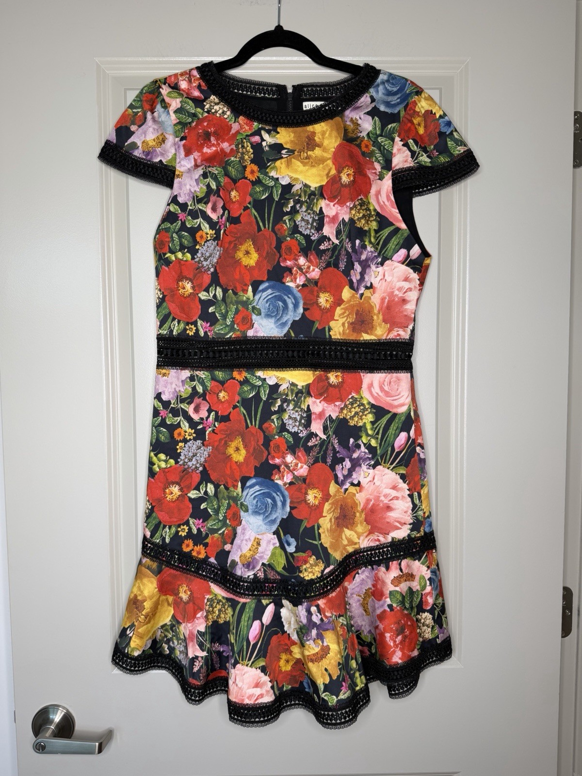 Alice and Olivia Rapunzel Lace-Trim Floral Print Mini Dress Red Black Size 10