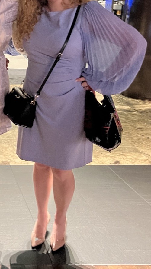 Jessica Howard Lavender/Periwinkle Sheath Dress Pleated Long Sleeve 16