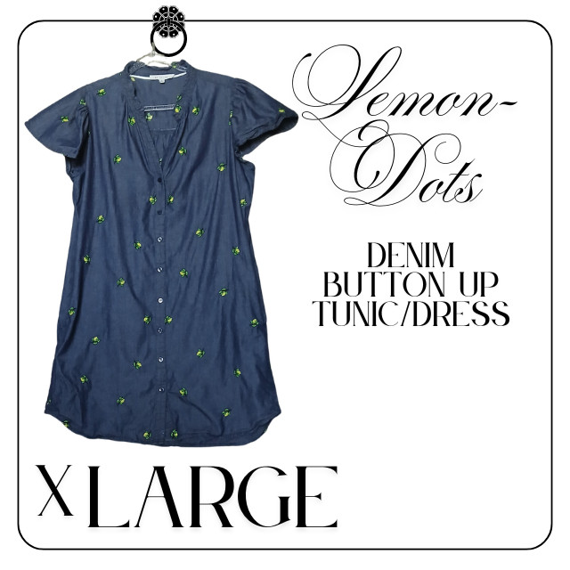 Jane + Delancey Shirt Dress Womens XL Blue Lemon Dot Denim Button Up Embroidered
