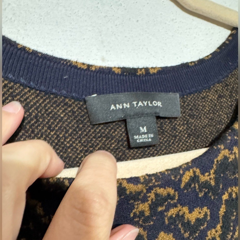 Ann Taylor Wool Cashmere Blend Sweater Dress Size M Navy Blue Brown Sheath Fall
