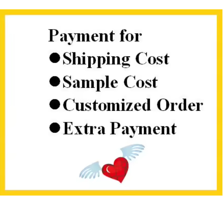 SPECIAL PAYMENT LINK -Extra Fee