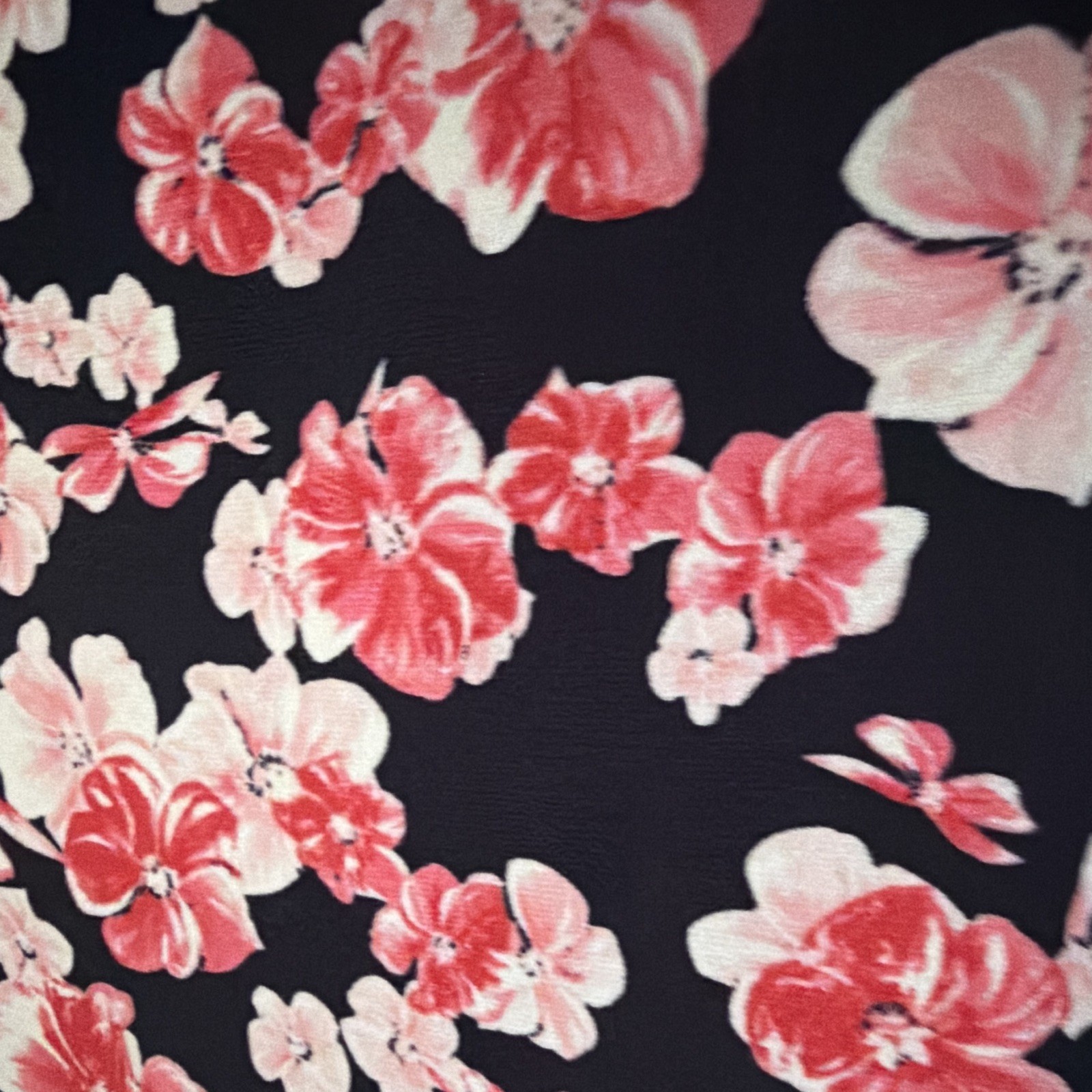 Chaps Womens Knee Dress Floral V-Neck Cap Sleeve Black Pink White M