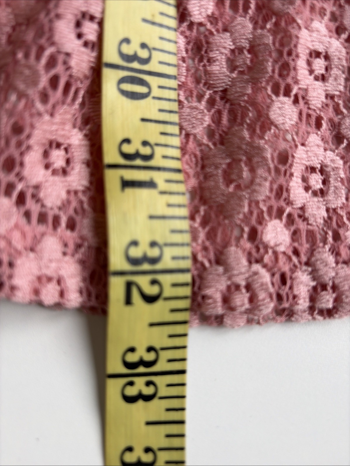 Iris Lace Fit & Flare Skater Mini Dress Size S Pink Sheer Floral Feminine Fairy