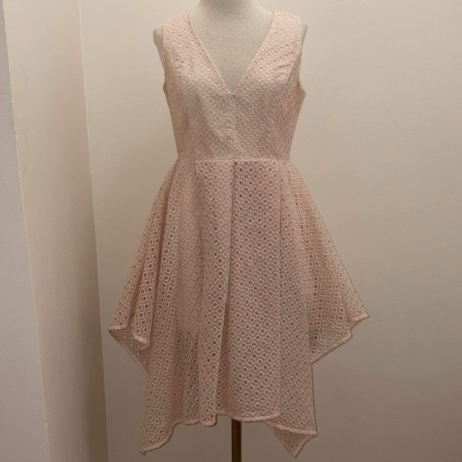 Keepsake The Label $275 Last Dance Eyelet In Soft Peach A Line Dress Size Large