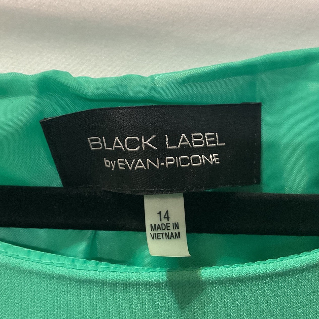 Evan Picone Black Label Spring Green Women’s Sleeveless Fit & Flare Dress Sz 14