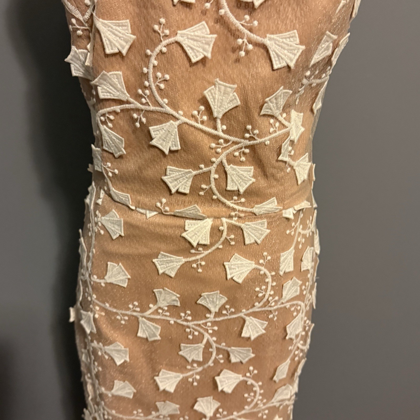 Jarlo Embroidered Mesh Maxi Dress 12 Petite Floral Aplique Nude Illusion Formal