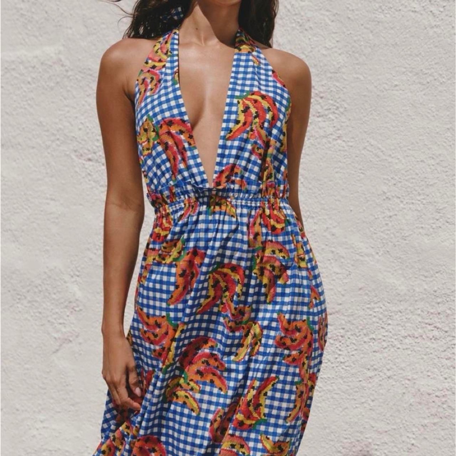 Farm-rio Women’s multi Dress