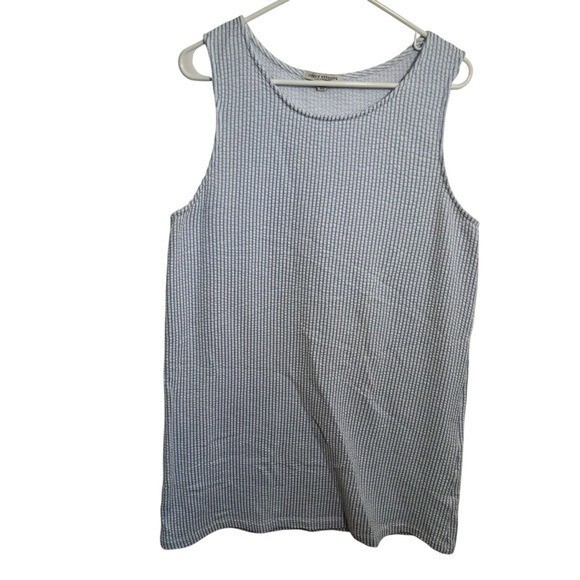Green Envelope Women’s Size XL Sleeveless Shift Dress Blue White Seersucker
